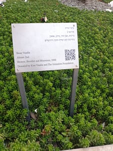 דפוס IDI